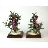 A pair of Royal Worcester models of Mexican Feijoa and Ladybirds