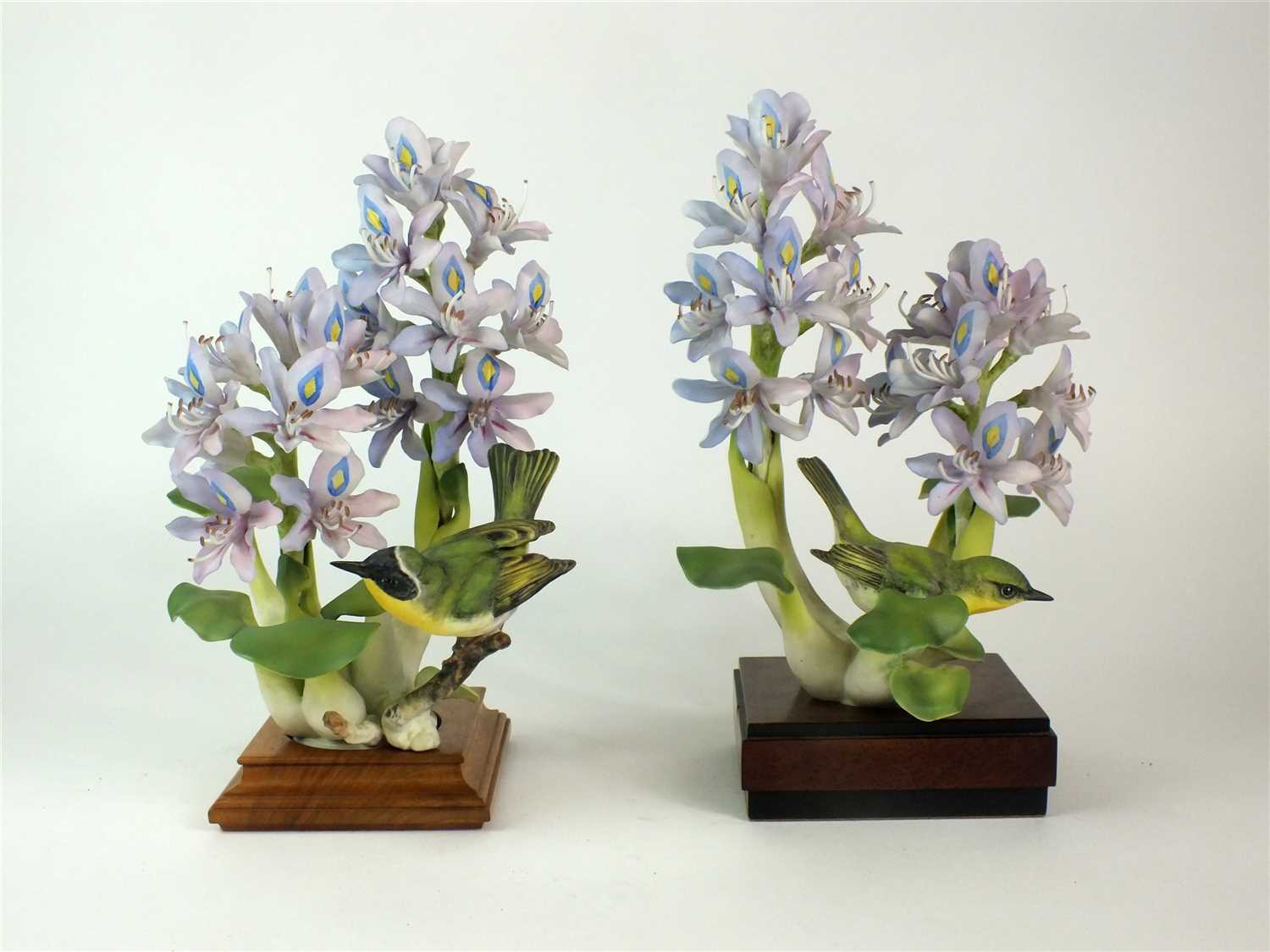 A pair of Royal Worcester models of Yellow-Throats and Purple Hyacinth