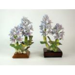 A pair of Royal Worcester models of Yellow-Throats and Purple Hyacinth