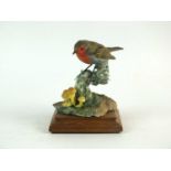 A Royal Worcester model of a Robin