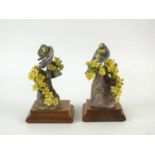 A pair of Royal Worcester figures of Audubon Warblers on Palo Verdi