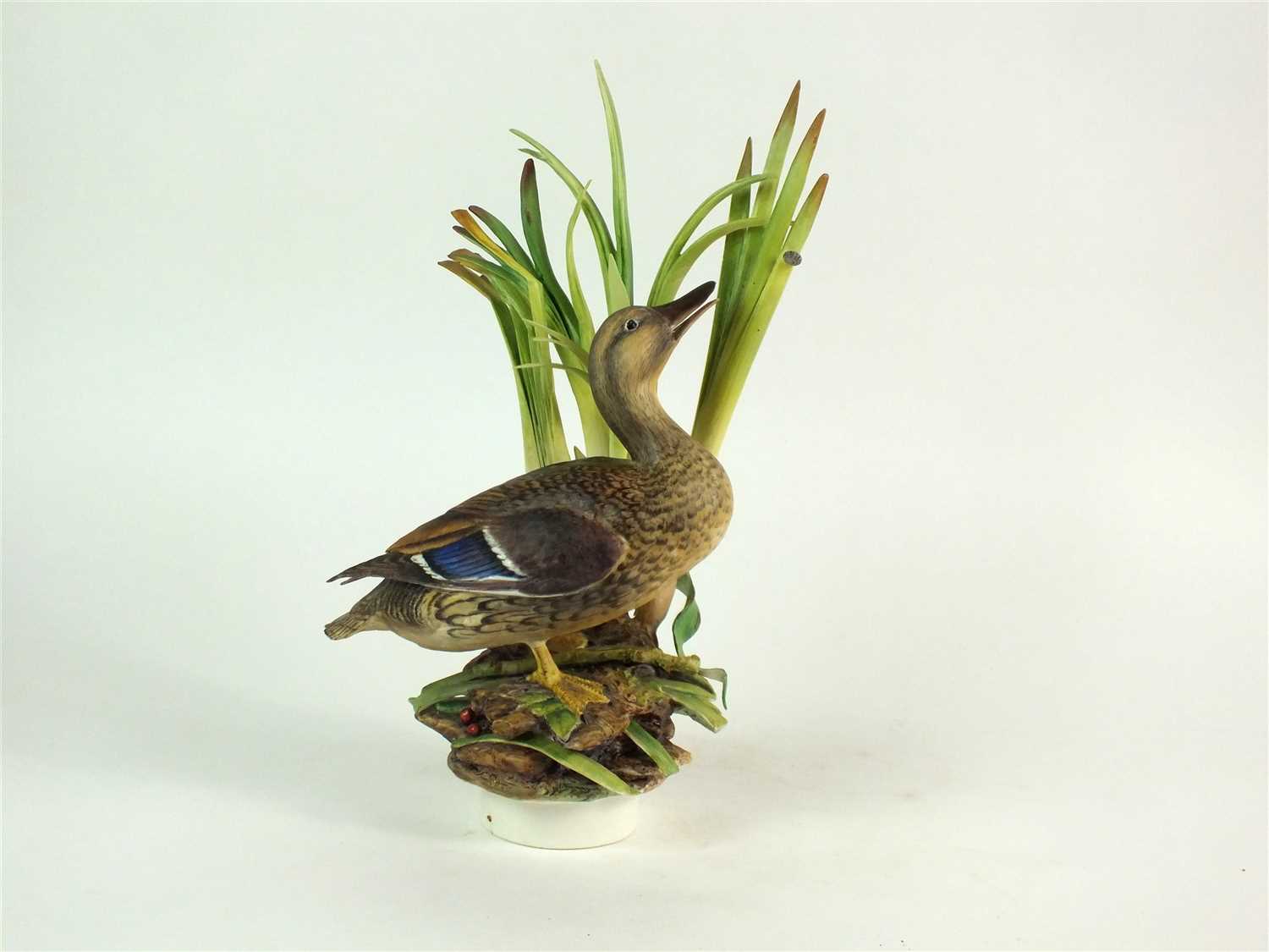 A Royal Worcester model of a Mallard Duck