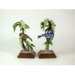 A pair of Royal Worcester models of Lazuli Bunting on Choke Cherry