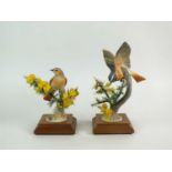 A pair of Royal Worcester models of Redstarts and Gorse