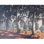 ERIC PITHEY (South African), framed oil on board, signed, impressionist trees in a landscape. 39