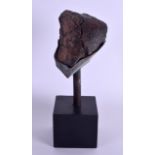 AN EARLY METEORITE upon an ebonised stand. Meteorite 8 cm x 7 cm.