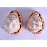 A GOOD PAIR OF 19TH CENTURY CARVED CAMEO CONCH SHELLS decorated with classical figures. 14 cm x 10