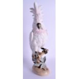 A LARGE ROYAL DUX PORCELAIN FIGURE OF A PARROT modelled upon a naturalistic base. 40 cm high.