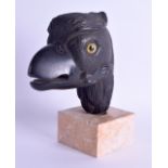 A RARE 19TH CENTURY CONTINENTAL CARVED EBONISED WOOD HEAD OF A DODO with glass eyes, upon a fitted