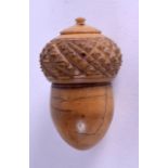 A LATE 19TH CENTURY CONTINENTAL COQUILLA NUT BOX. 5 cm x 2.5 cm.