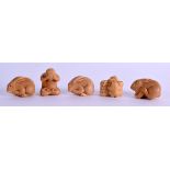 A SET OF FIVE JAPANESE CARVED TAGUA NUT NETSUKES in various forms. Largest 3.75 cm wide. (5)