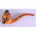 A LATE VICTORIAN CARVED AMBER LION HEAD PIPE. 15 cm wide.