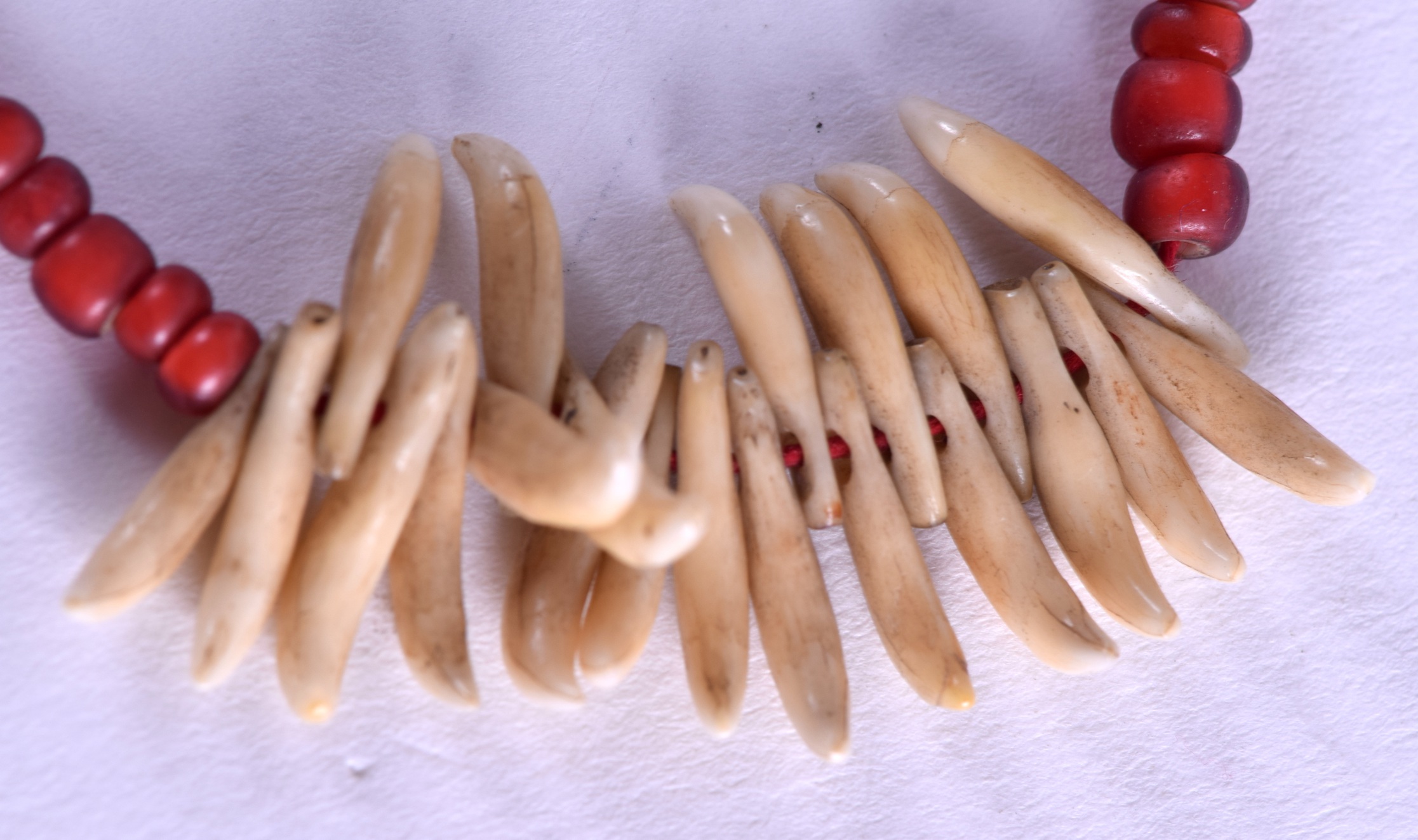 AN EARLY 20TH CENTURY TRIBAL CORAL AND TOOTH BRACELET. - Bild 2 aus 2