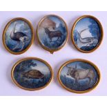 A RARE SET OF FIVE 18TH CENTURY PAINTED IVORY MINIATURES depicting animals and birds within