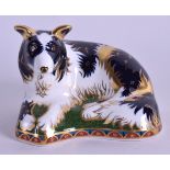 A BOXED ROYAL CROWN DERBY BORDER COLLIE PAPERWEIGHT. 12 cm high.