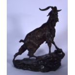 AFTER PIERRE-JULES MENE (1810-1879) LARGE BRONZE SCULPTURE OF A MOUNTAIN GOAT, modelled standing upo