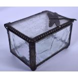 AN EARLY 20TH CENTURY WHITE METAL MOUNTED DRAGONFLY CASKET OR BOX, the glass panels etched forming l