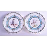 AN IMPORTANT PAIR OF ANTIQUE COALPORT PLATES from the birds of prey service, painted with John Randa