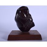 A LARGE JASPER STONE SCULPTURE, formed upon a rectangular wooden plinth. 20 cm high.