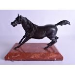AN EARLY 20TH CENTURY CONTINENTAL BRONZE FIGURE OF A HORSE modelled upon a rectangular marble base.
