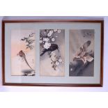 A 19TH CENTURY JAPANESE MEIJI PERIOD FRAMED WATERCOLOUR TRIPTYCH depicting birds in various pursuits