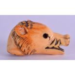 AN 18TH CENTURY GERMAN CARVED IVORY BOAR HEAD IVORY CANE HANDLE. 7 cm x 4.25 cm.