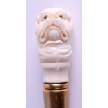 A 19TH CENTURY CARVED IVORY HANDLED WALKING CANE in the form of a dogs head, with brass mounts. 90 c