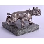 A 19TH CENTURY GERMAN SILVERED BRONZE MASTIFF modelled upon a marbled base. 9 cm x 9 cm.