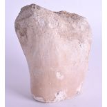 AN EARLY FOSSILISED BONE. 12 cm x 9 cm.