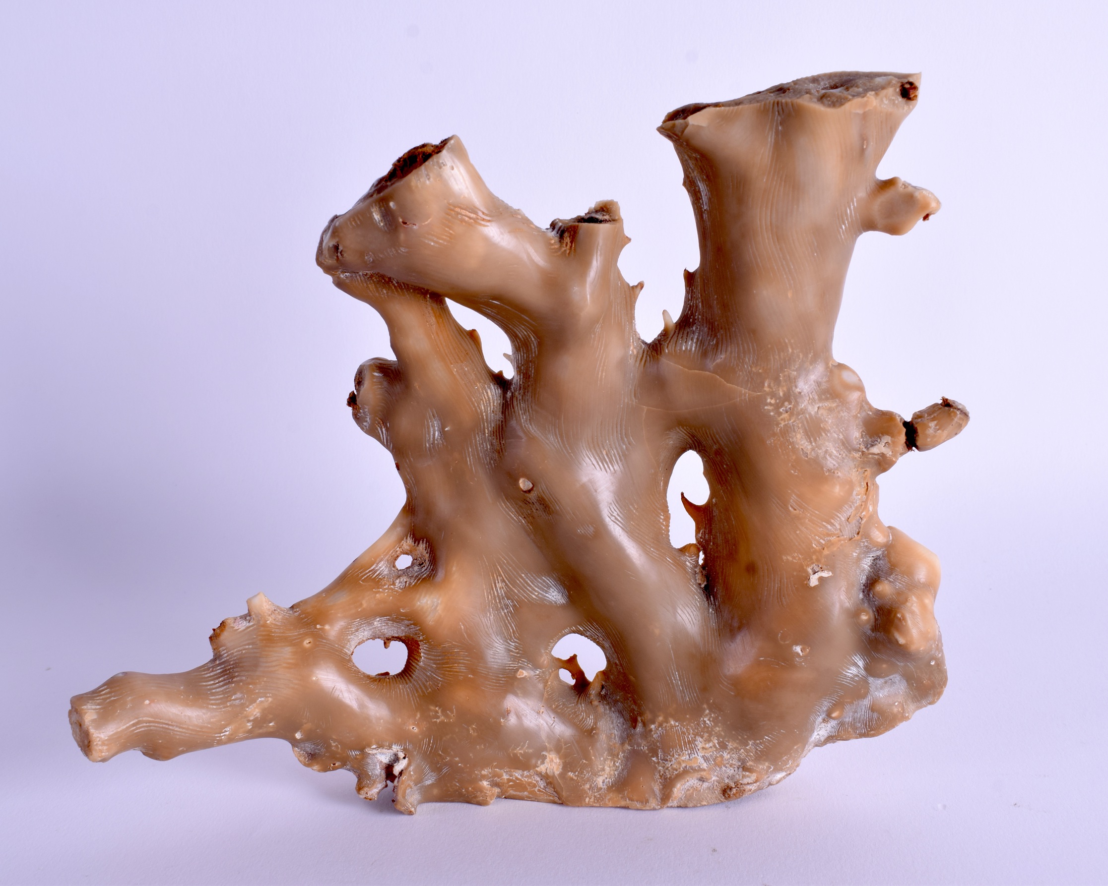 AN EARLY 20TH CENTURY CARVED WHITE CORAL SCULPTURE. 19 cm x 17 cm.