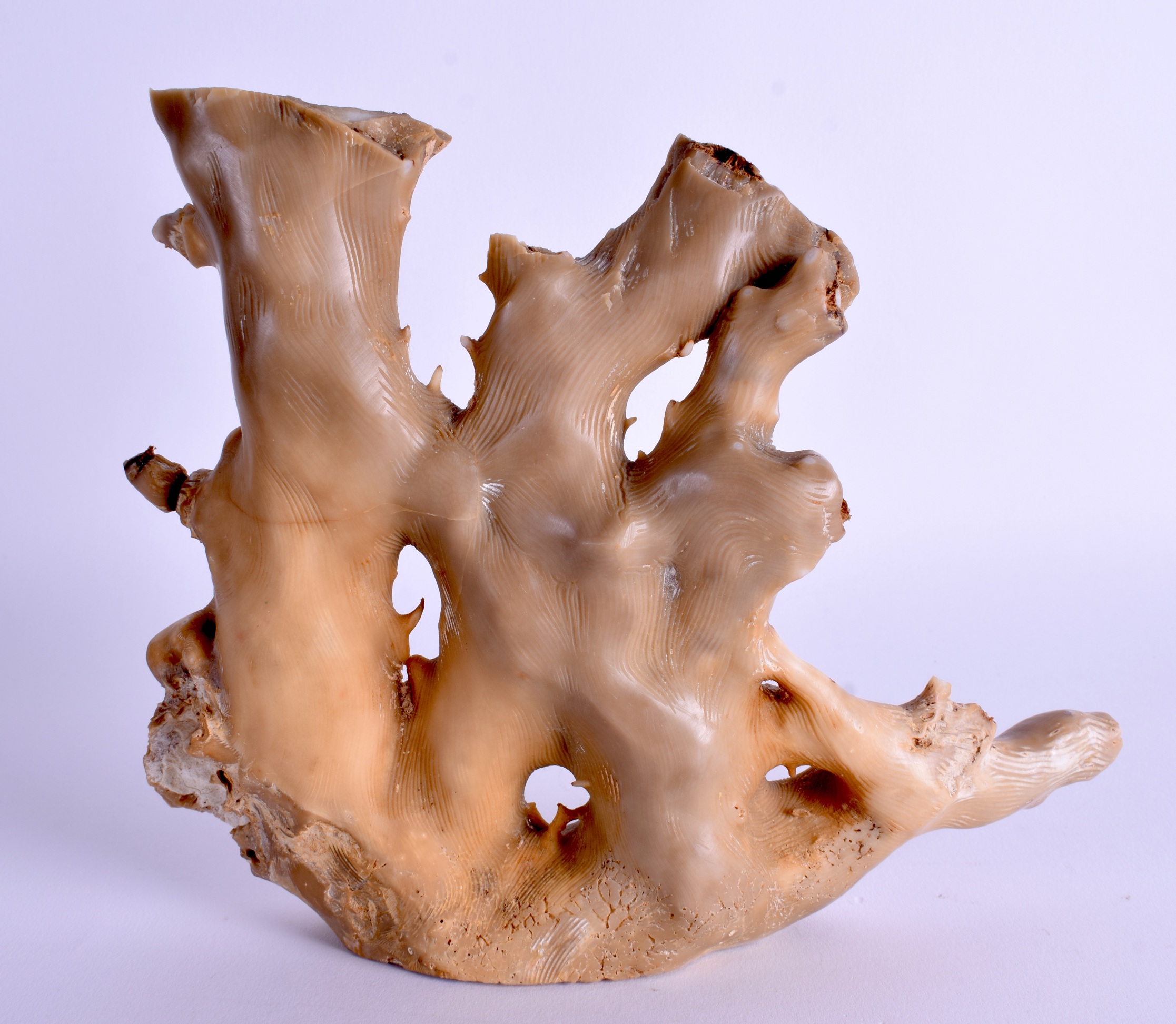 AN EARLY 20TH CENTURY CARVED WHITE CORAL SCULPTURE. 19 cm x 17 cm. - Image 2 of 3