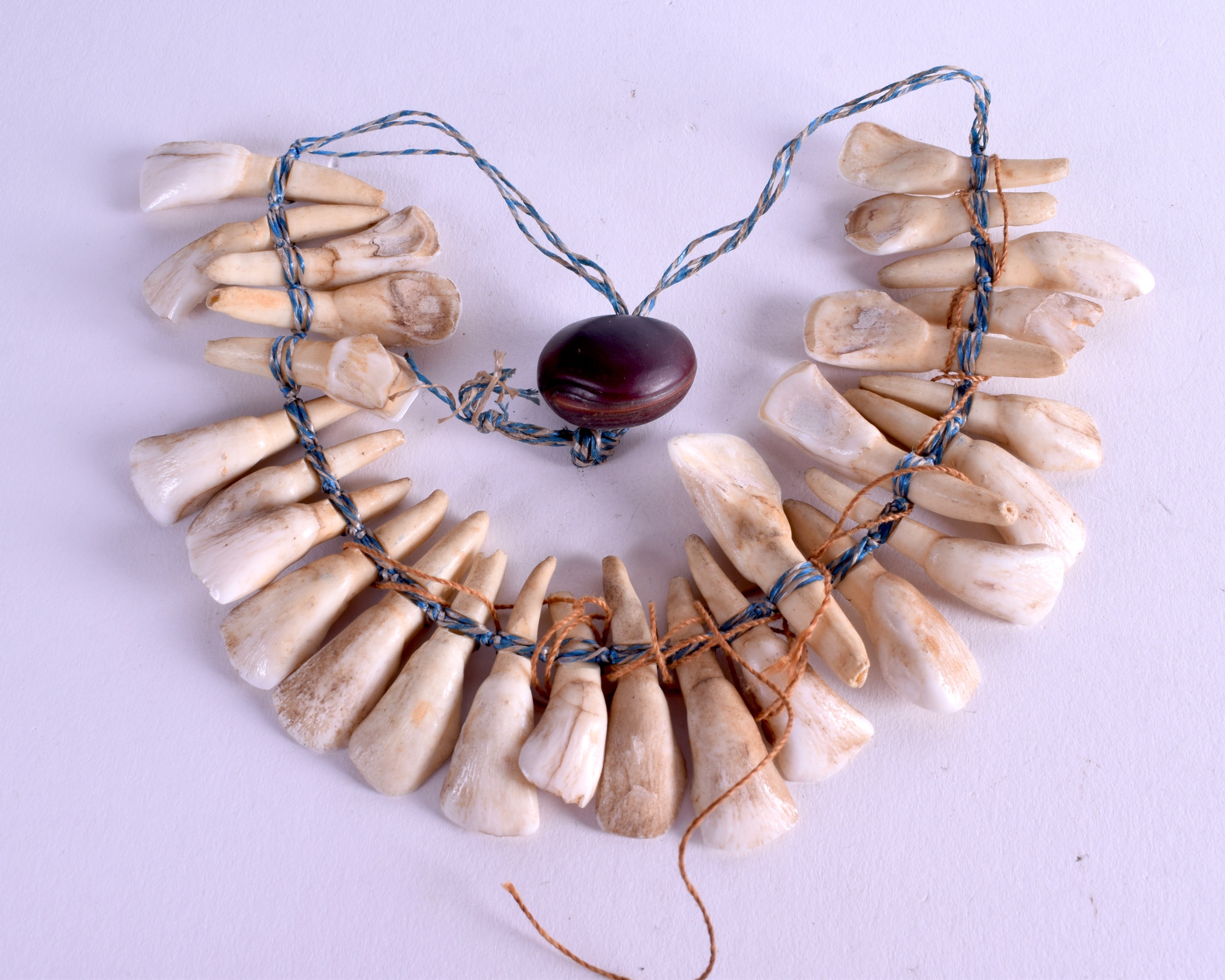 A CARVED TOOTH TRIBAL HUNTER NECKLACE. 42 cm long.