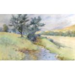 ALLAM (British) FRAMED WATERCOLOUR, signed dated 1925, trees in a rural landscape. 31 cm x 47.5 cm.
