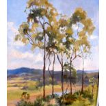 AUSTRALIAN SCHOOL (20th century) FRAMED OIL ON BOARD, signed, trees in a landscape. 48.5 cm x 38.5 c