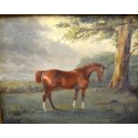 ICS FRANELL (British) FRAMED OIL ON CANVAS, a horse in a landscape, circa 1887, information on label