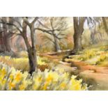 SUSAN CHENEY (British) FRAMED WATERCOLOUR, signed, “Springtime”, trees in a landscape 20.5 cm x 28 c