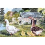 HEATHER M INSH (British) FRAMED WATERCOLOUR, signed, “Goose Family”,geese beside a pond. 14.5 cm x 1