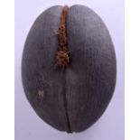 A LARGE EARLY 20TH CENTURY COCO DE MERE NUT of naturalistic form. 23 cm x 33 cm.