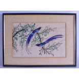 A 19TH CENTURY CHINESE FRAMED PITH PAPER WATERCOLOUR depicting two birds amongst foliage. Image 28 c