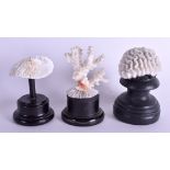 THREE EARLY 20TH CENTURY CORAL SPECIMANS. (3)