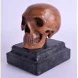 A RARE 18TH CENTURY CONTINENTAL CARVED BOXWOOD TREEN MEMENTO MORI SKULL probably German C1740. Skul