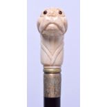 AN EARLY 20TH CENTURY CARVED BONE DOG HEAD WALKING CANE. 91 cm long.