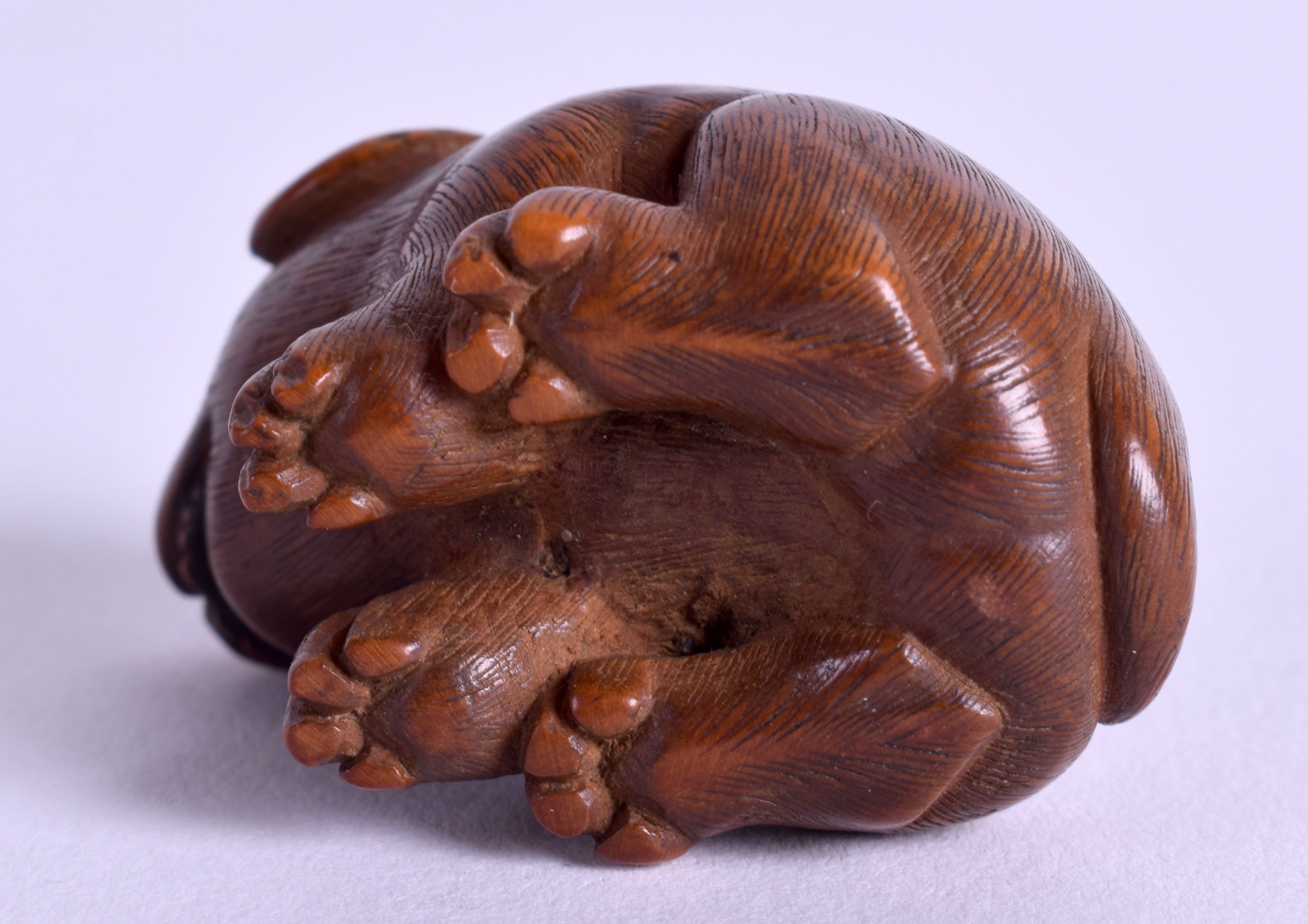 A LOVELY 19TH CENTURY JAPANESE MEIJI PERIOD BOXWOOD NETSUKE modelled as a recumbent puppy. 3 cm x 2 - Image 3 of 3
