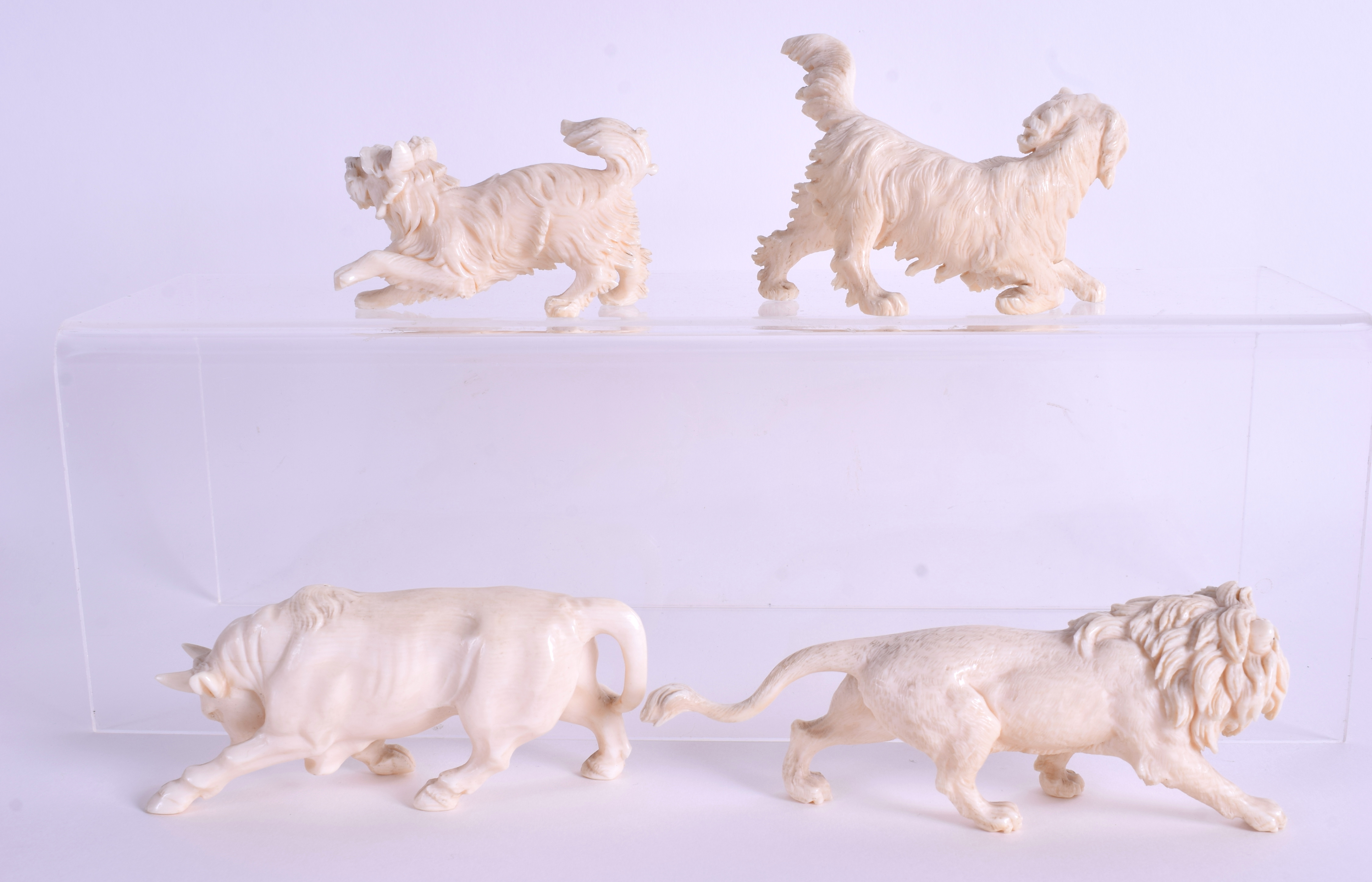 A RARE SET OF FOUR 19TH CENTURY EUROPEAN CARVED IVORY ANIMALS in various forms. Largest 12 cm wide. - Image 2 of 3