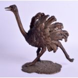 A VERY RARE ANTIQUE AUSTRIAN COLD PAINTED BERGMANN BRONZE depicting an ostrich upon a naturalistic