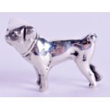 A SILVER DOG.