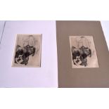 A PAIR OF UNFRAMED 1950'S ABSTRACT ETCHING OF TAXIDERMY INTEREST, depicting a dissected beetle. 19