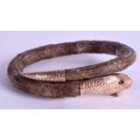 A RARE 19TH CENTURY GOLD MOUNTED SNAKE BANGLE, inset with ruby eyes. Inner diameter 5 cm.