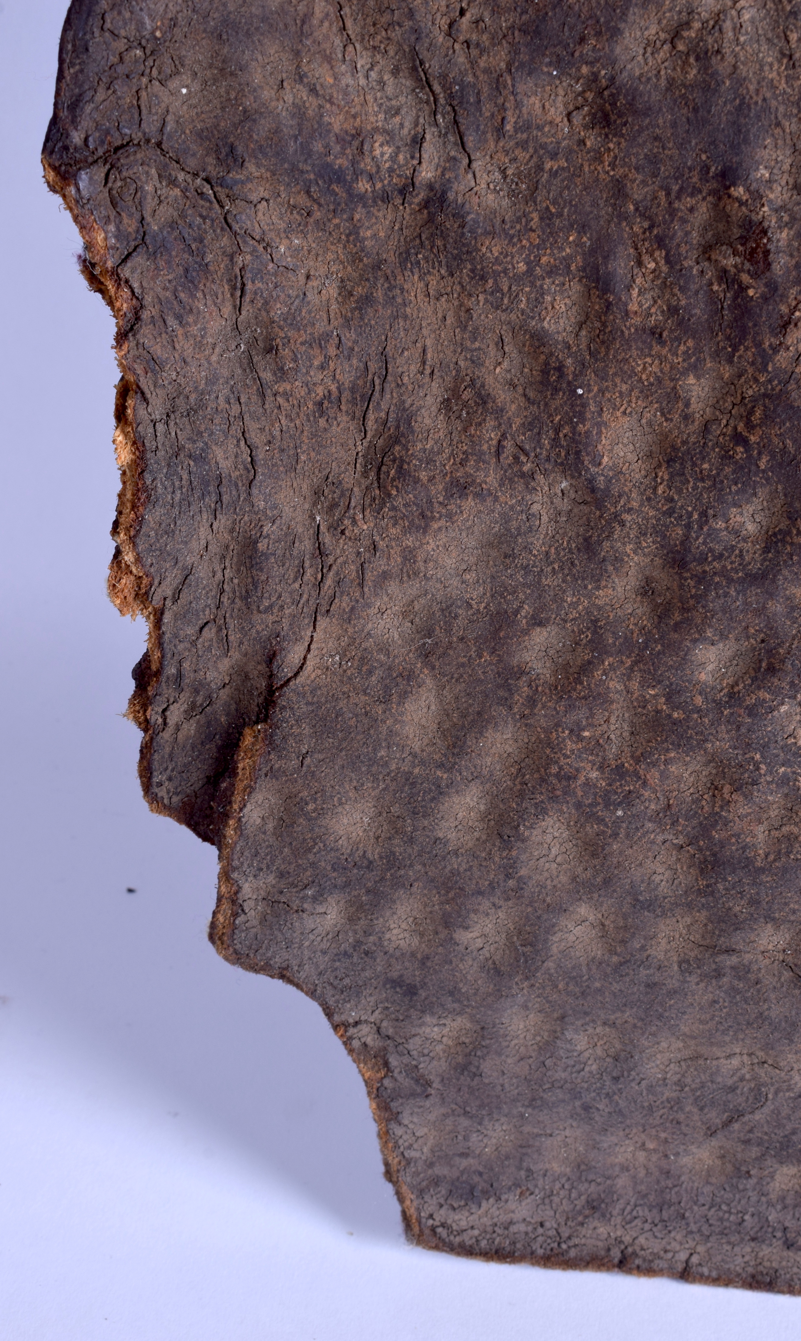 A 19TH CENTURY AFRICAN RHINOCEROS HORN HIDE SHIELD with dimpled decoration, possibly Ethiopian. 94 - Bild 10 aus 10