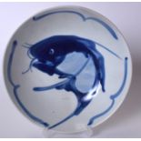 A CHINESE BLUE AND WHITE PORCELAIN SHALLOW BOWL, painted with a fish. 23 cm wide.